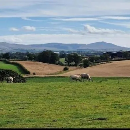 Unit 1 - Dolly Daydream Bell Tent *
