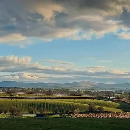 Unit 1 - Dolly Daydream Bell Tent